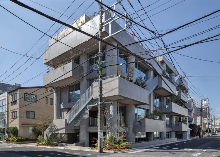 THE GRANDUO FUTAKOTAMAGAWA SOIL